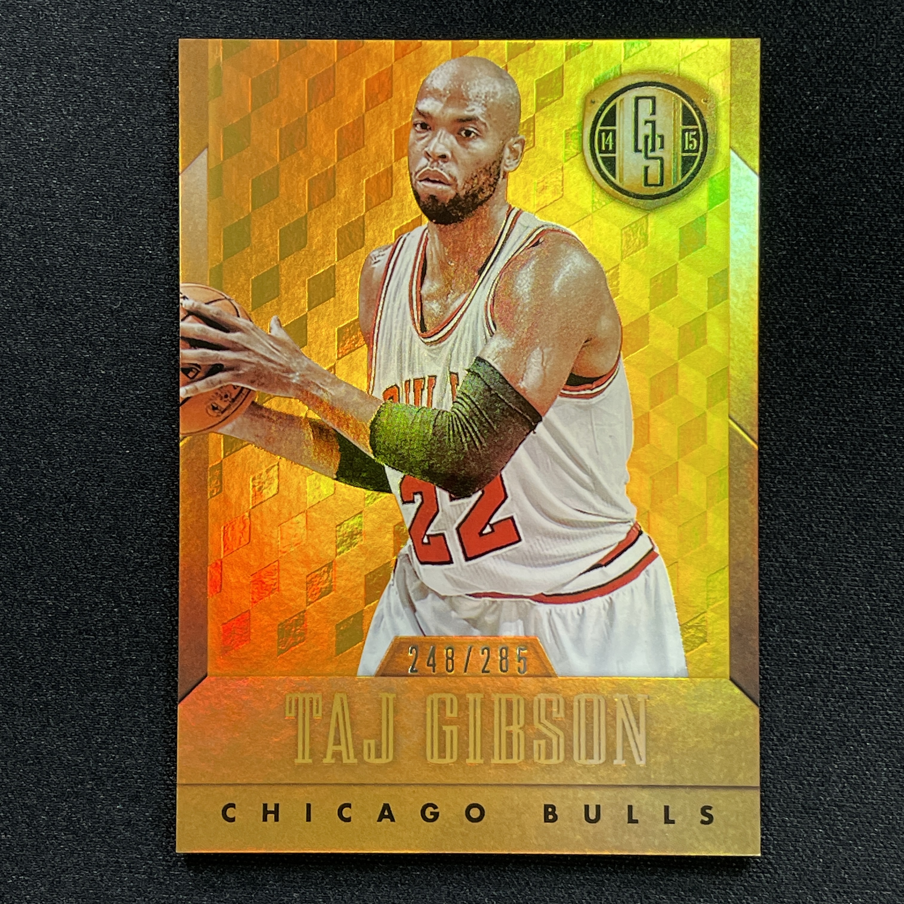 young熊猫 2014-15 Panini Gold Standard 金砖 Taj Gibson 泰吉 吉布森 公牛 /285编 折射-阳-25